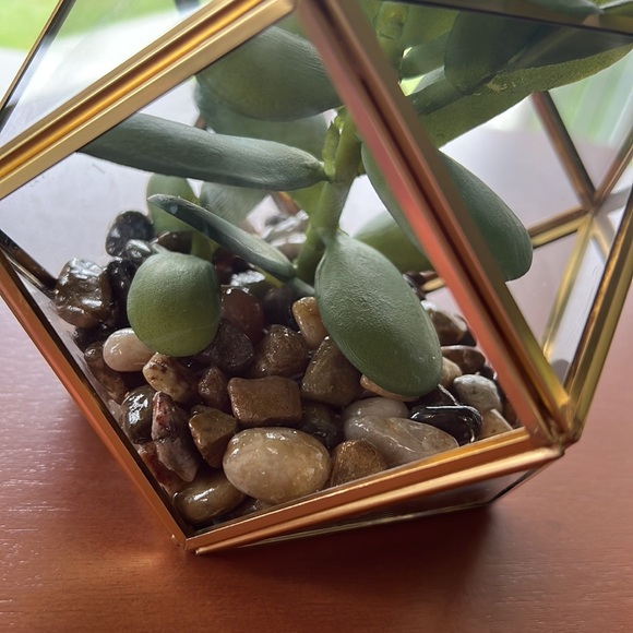 Set of 2 Opalhouse Filled Terrarium Faux Succulent Plant 4”x4” - Picture 4 of 9